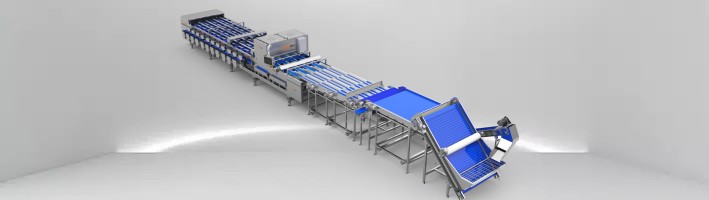 مرتب کننده رنگ تاریخ