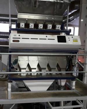 Pumpkin seeds Color Sorter Installed for Polish Customer