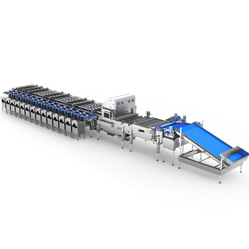 blueberry grader